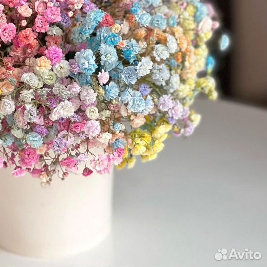 Яркий презент - стаканчик комплимент из гипсофилы