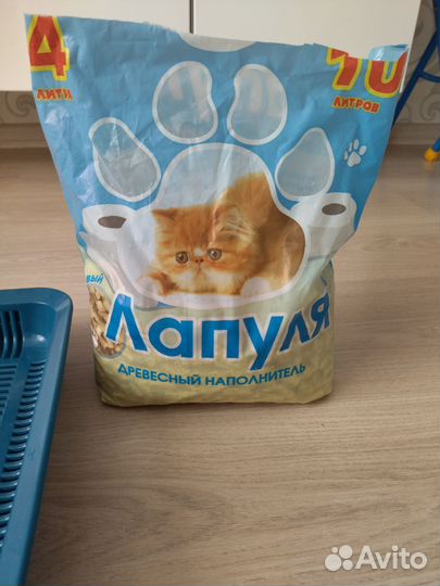 Все для кошек: лоток, миска, наполнитель