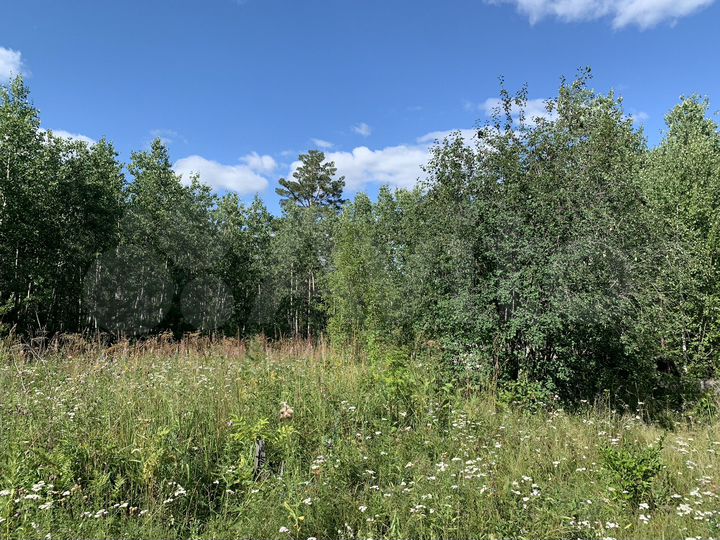 Участок 20 сот. (СНТ, ДНП)