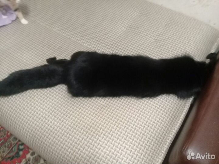 Шкурка чернобурка