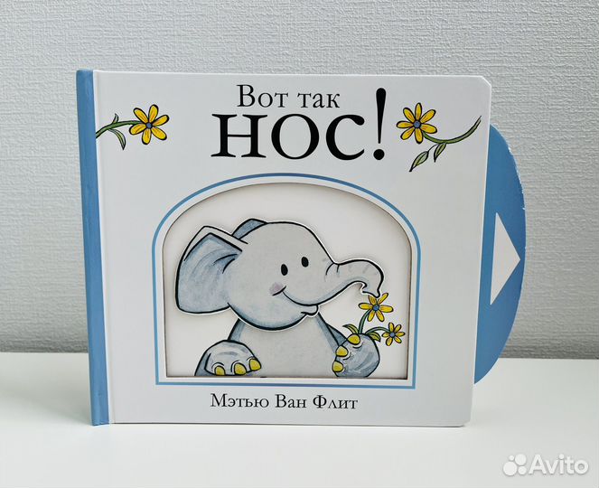 Книга Мэтью Ван Флит 