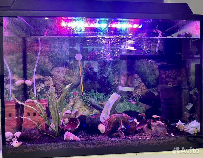 Аквариум