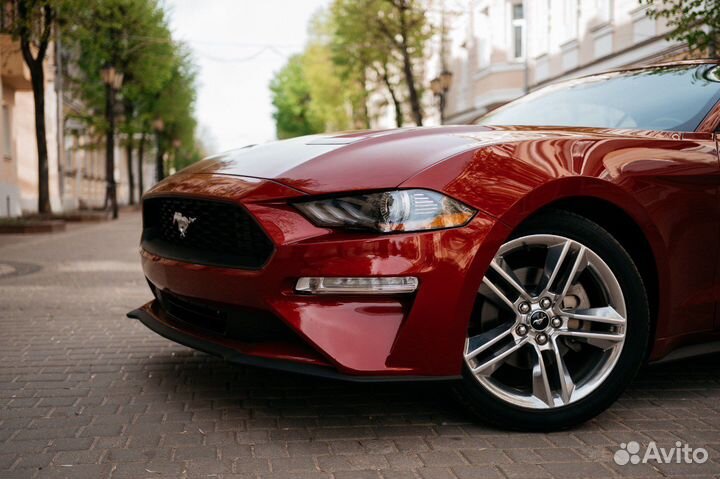 Ford Mustang, 2019