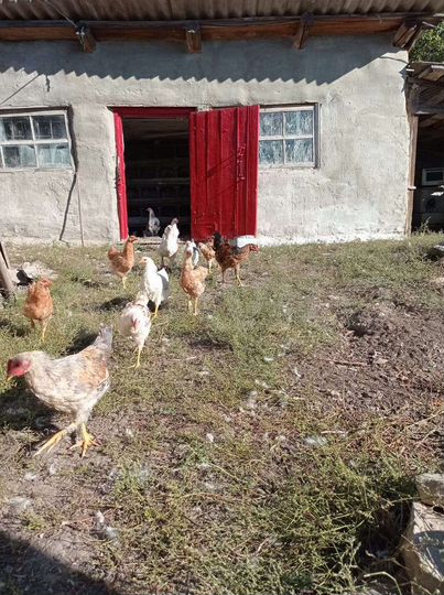 Участок 90 сот. (ИЖС)