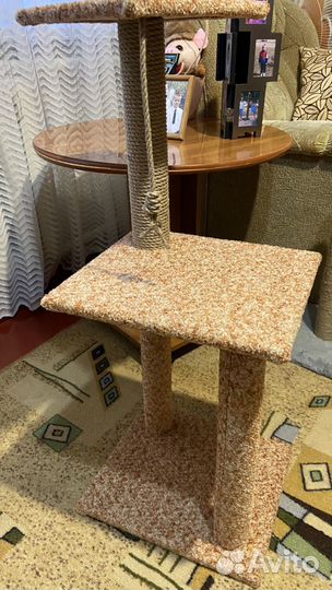 Когтеточка