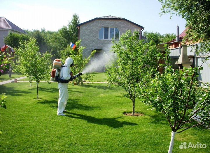 Обработка от клещей/уничтожение насекомых