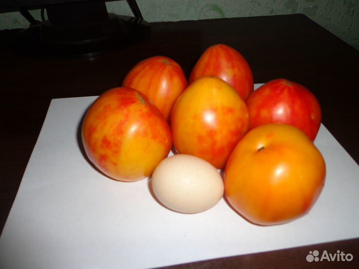 Рассада томатов, перца, баклажан, капусты и т.д