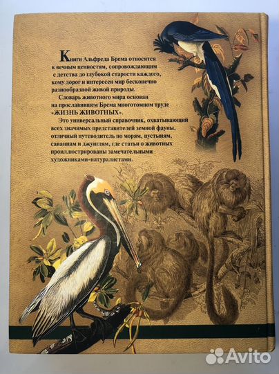 Книга жизнь животных Альфред Брем