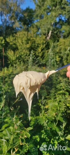 Сливки, Молоко коровье