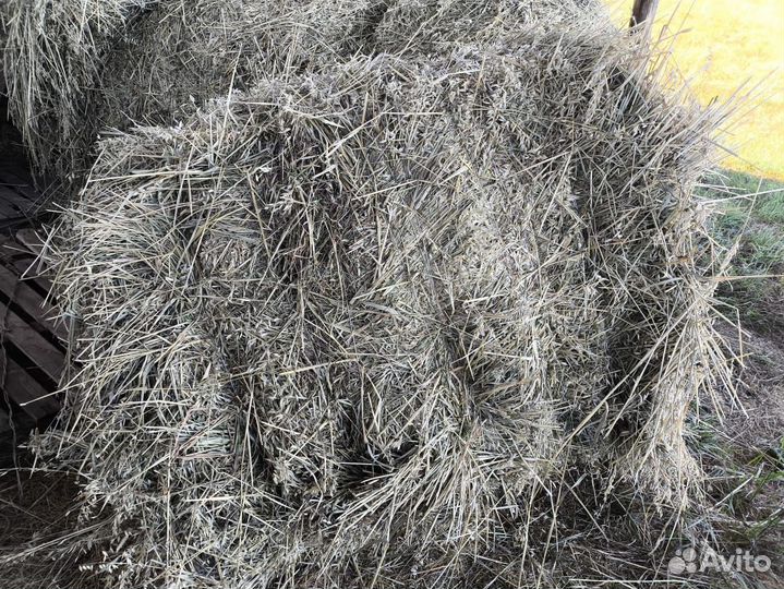 Сено в тюках