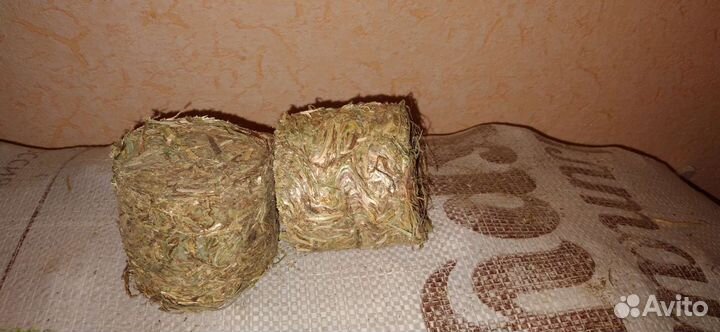 Брикетированное сено-корма для грызунов