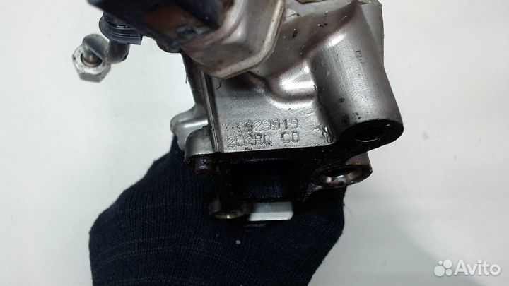 Рампа (рейка) топливная Seat Leon 2, 2008