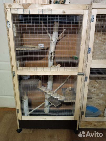 Витрина для шиншилл