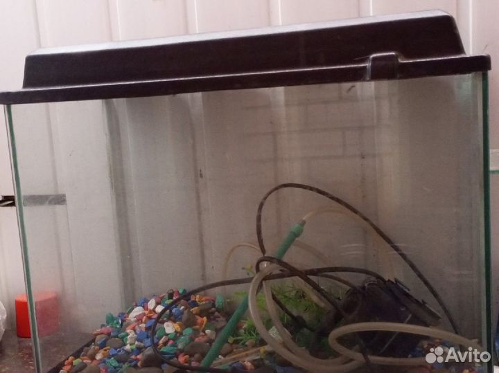 Аквариумы 4 шт