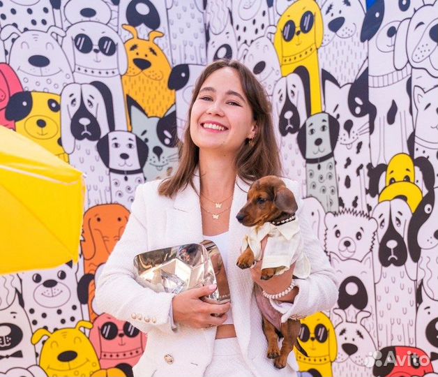 Видеограф YouTube shorts, Reels