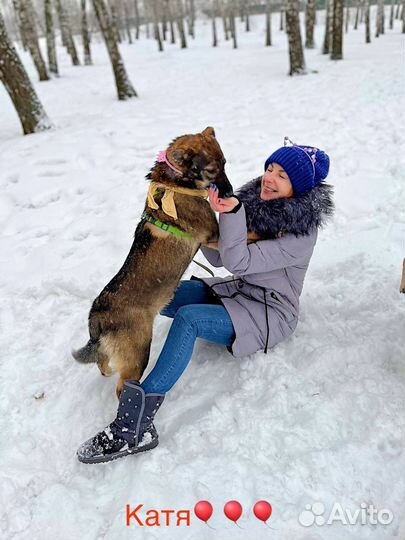 Щенок в добрые руки