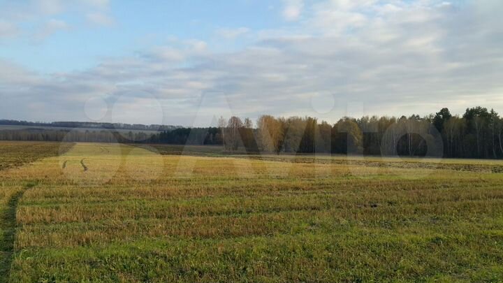 Участок 11,2 га (СНТ, ДНП)