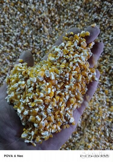 Кукуруза дробленая