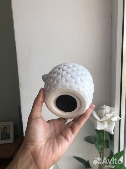 Сова Монетная банка