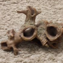 Для аквариума