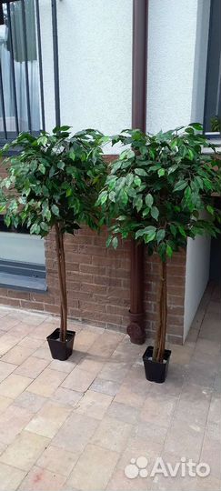 Искусственное дерево фикус