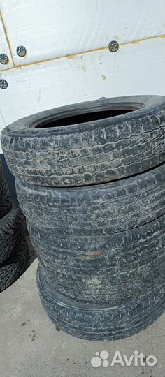 Шины триангл 646