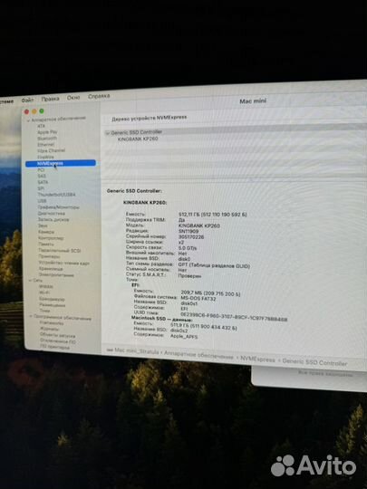 Mac mini late 2014 с nvme ssd 512 гб