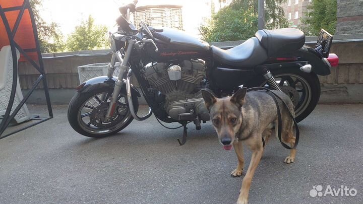 Жилет hyperlite защитный L/XL