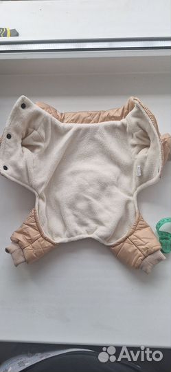 Одежда для собак
