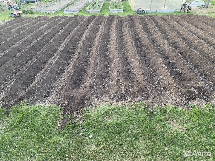 Культивация земли,устройство газона