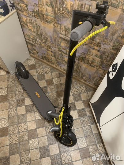 Самокат Ninebot g30p