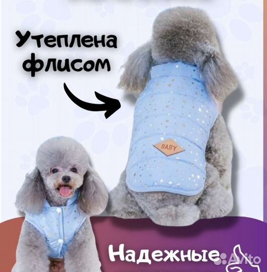 Одежда для собак мелких пород