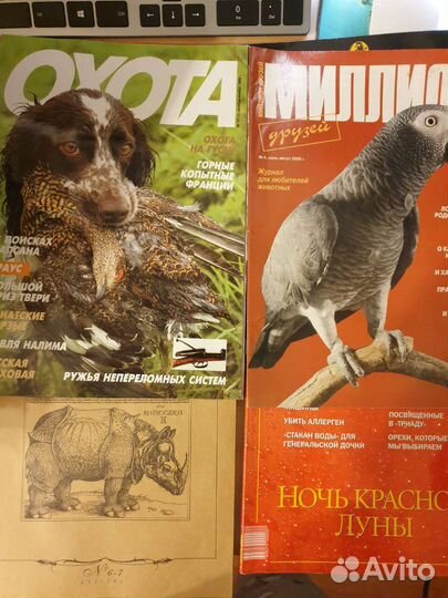 Журнал вокруг света, охота, следопыт