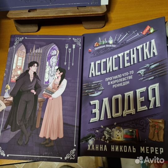 Ханна Николь Мерер Ассистентка Злодея