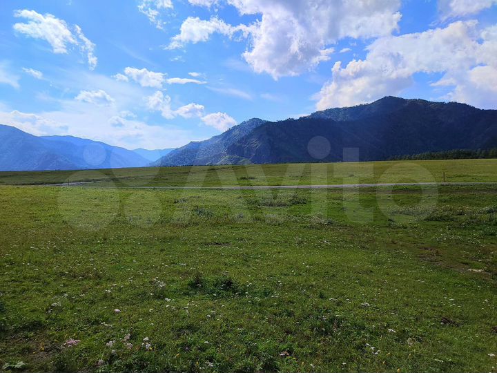 Участок 44 сот. (СНТ, ДНП)