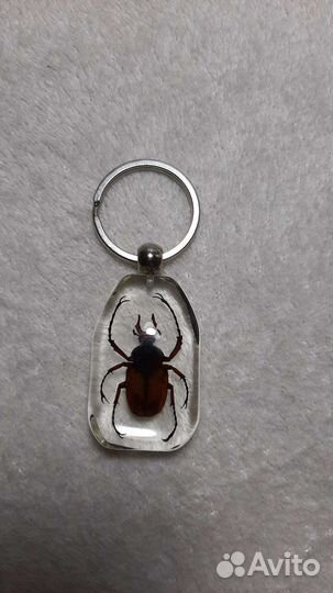 Брелок жук