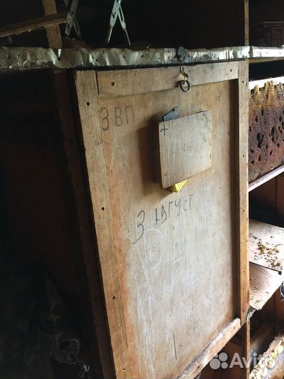 Пчелопавильон