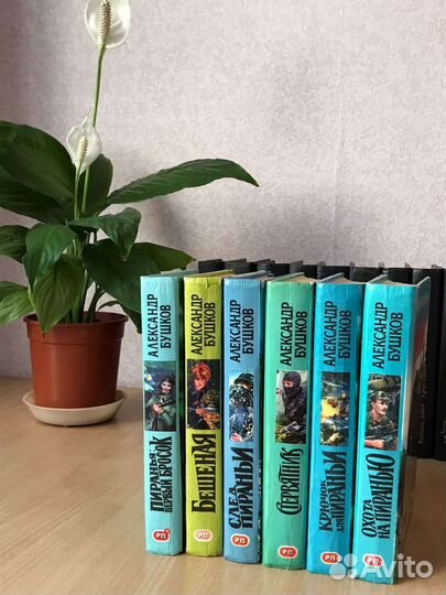 Собрание сочинений Бушкова