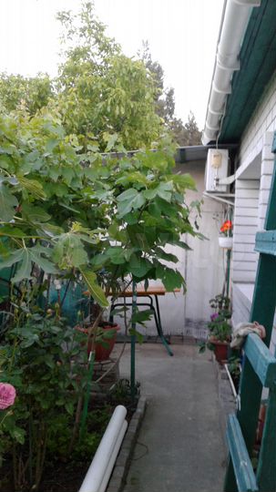 1-к. квартира, 44 м², 1/1 эт.