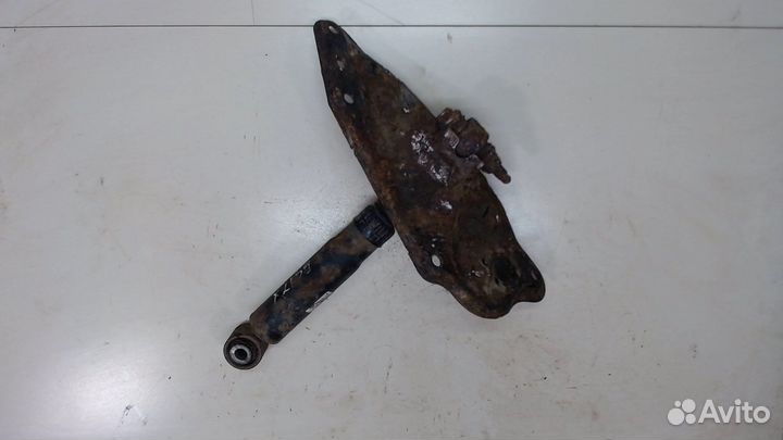 Амортизатор подвески Citroen C4 Grand Picasso, 201