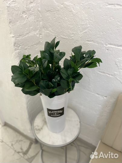 Ветка лимона