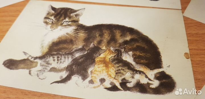 Кошки открытки, наборы