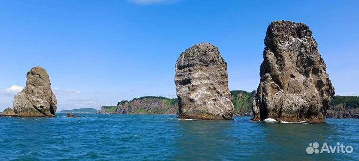 Морские прогулки б. Русская, о. Старичков,Камчатка