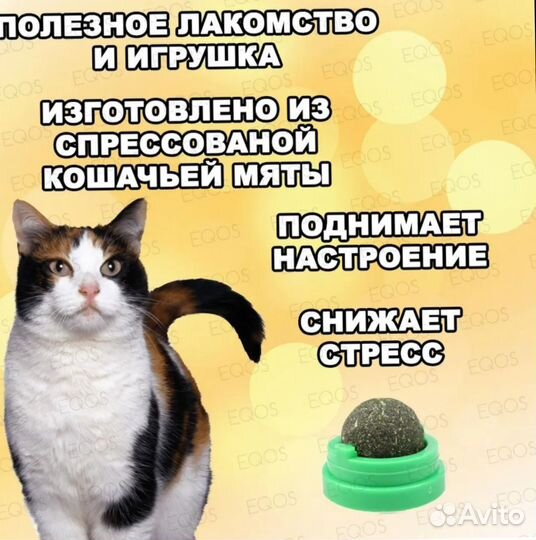 Бутылочка для кормления котят кошачья мята