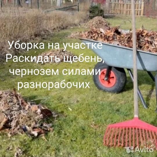 Тимуровцы Переезды Грузчики Рабочие Разнорабочие