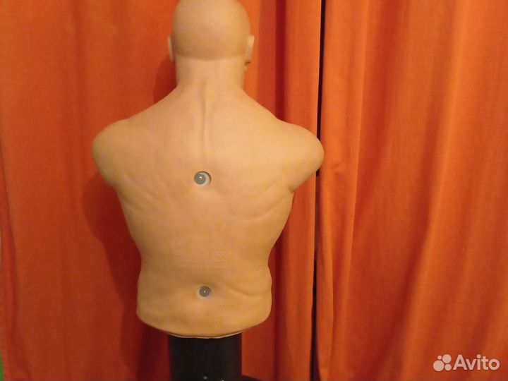 Водоналивной манекен Century Bob Box