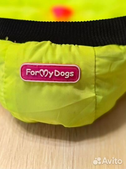 Одежда для маленьких собак зимняя