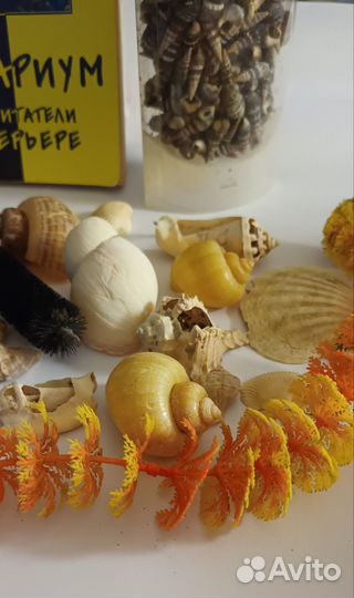 Аквариум, мелочи для него