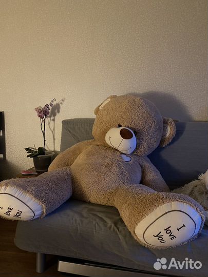 Плюшевый мишка