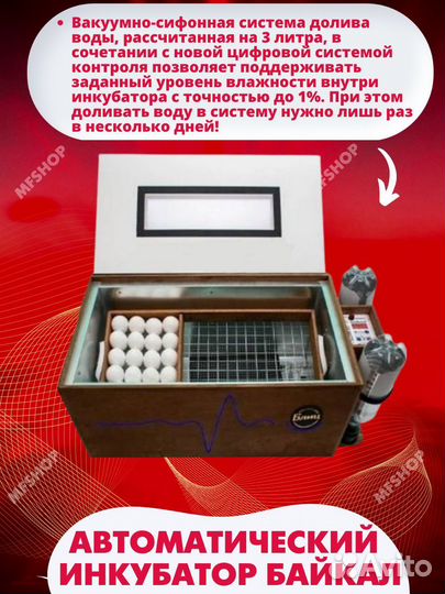 Инкубатор автоматический для яиц блиц Байкал 72